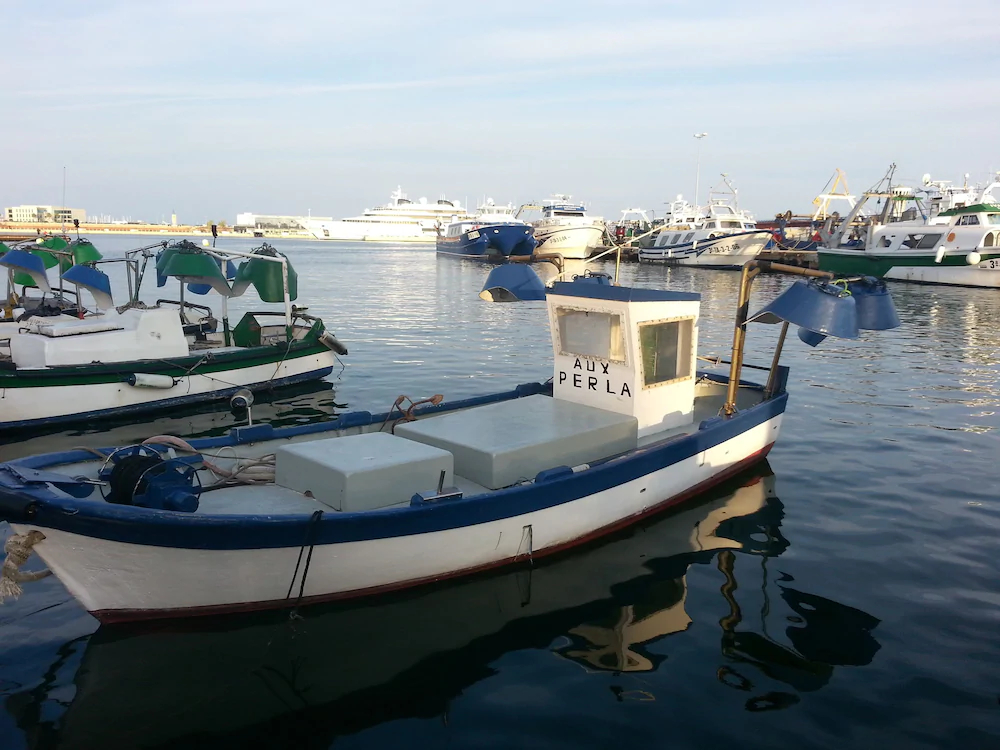 Casa Vella Del Panta De Riudecanyes