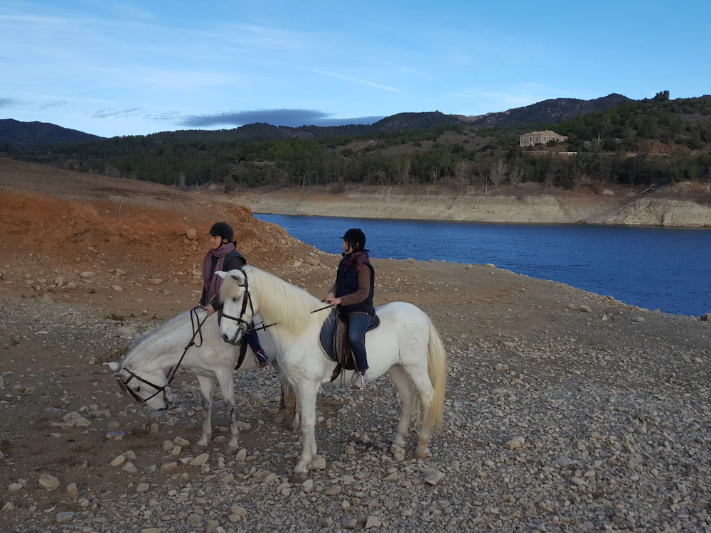 Casa Vella Del Panta De Riudecanyes