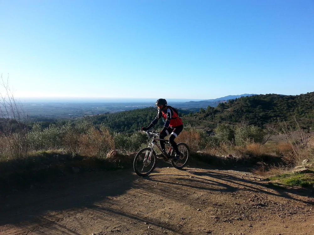 Casa Vella Del Panta De Riudecanyes