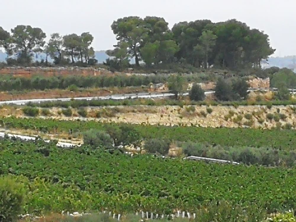 Archs Hotel Rural