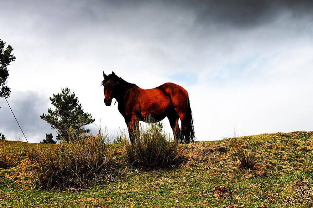 Turisme Rural El Janpere