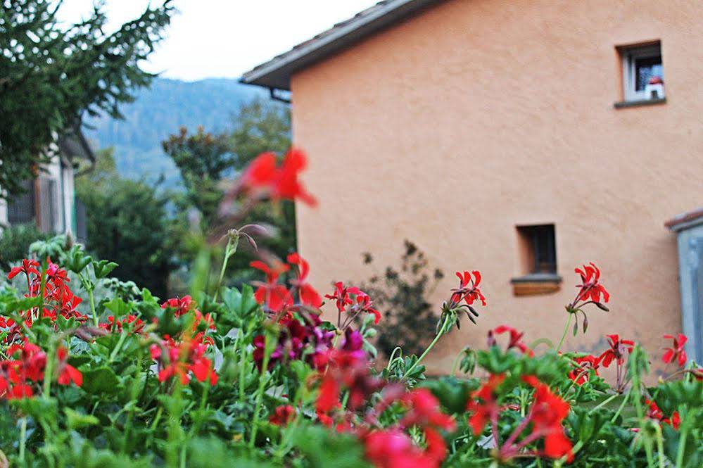 Turisme Rural El Janpere