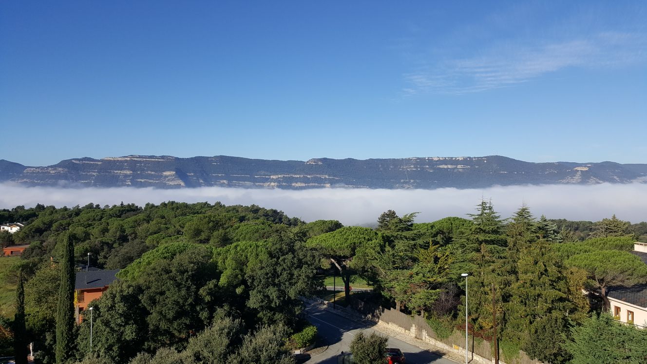Montanyà Affiliated by Senator