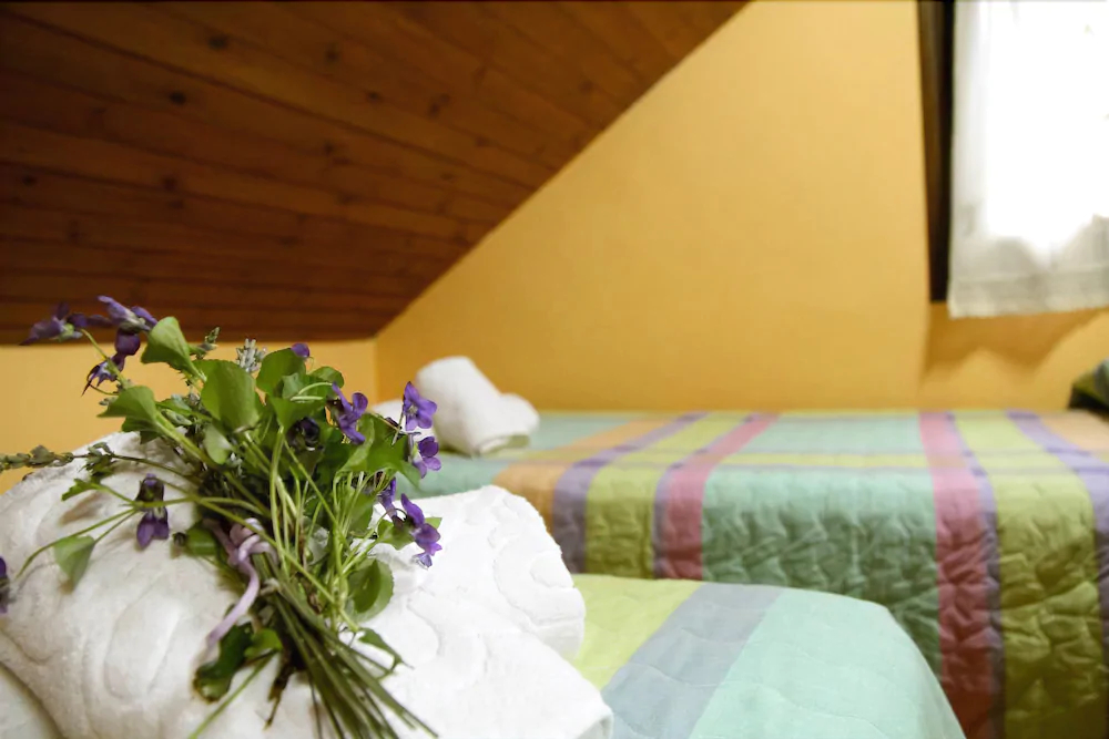 Casa Rural La Comella