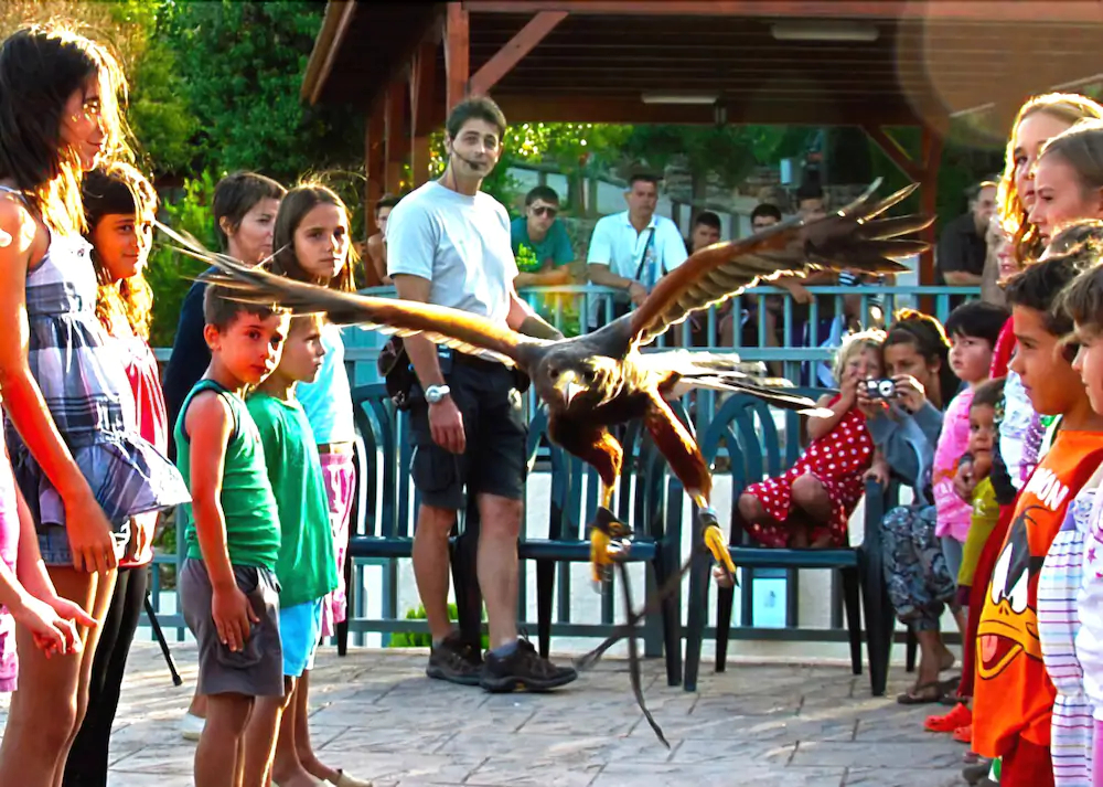 Camping Serra De Prades