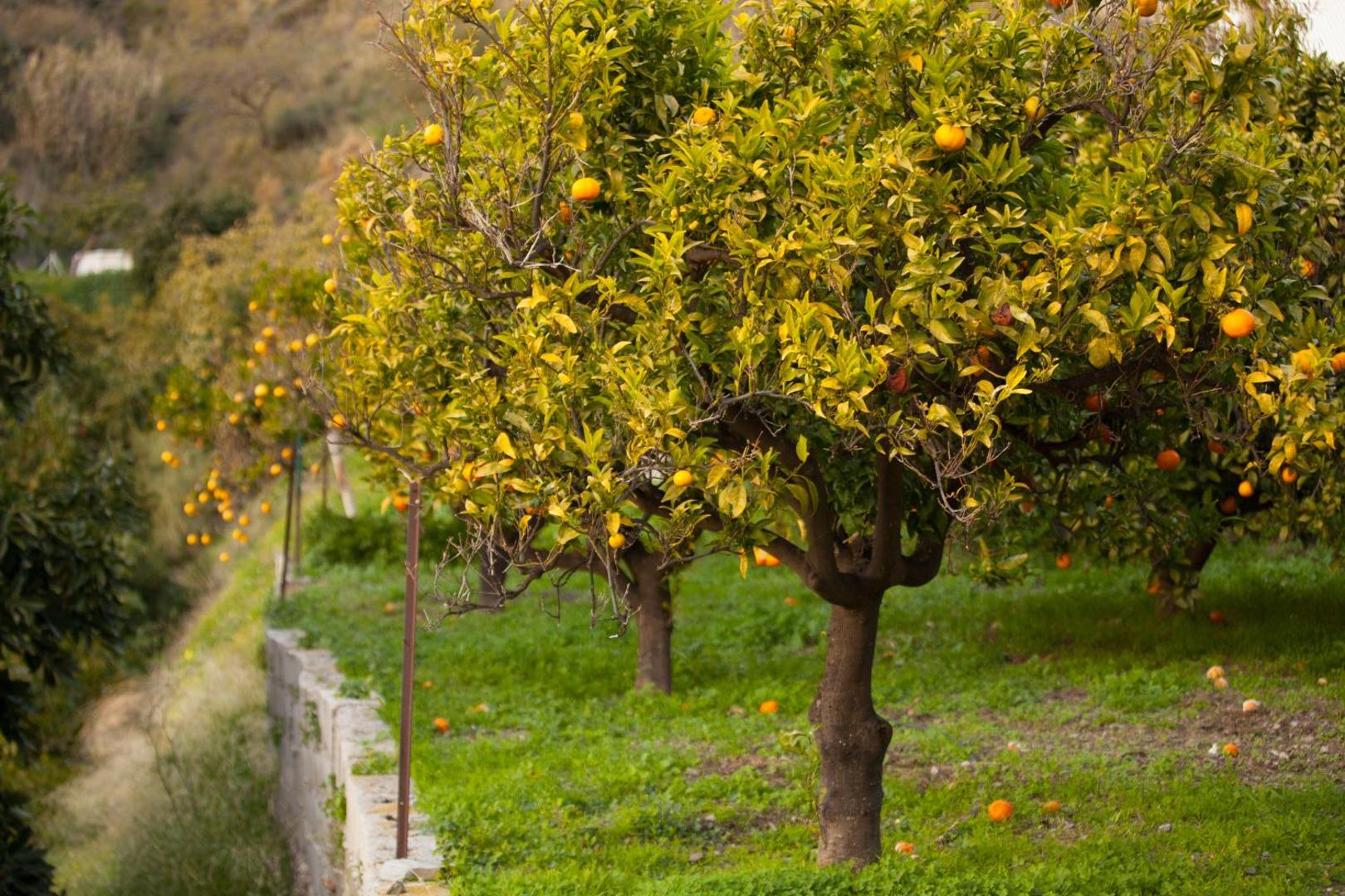 Finca La Herradura