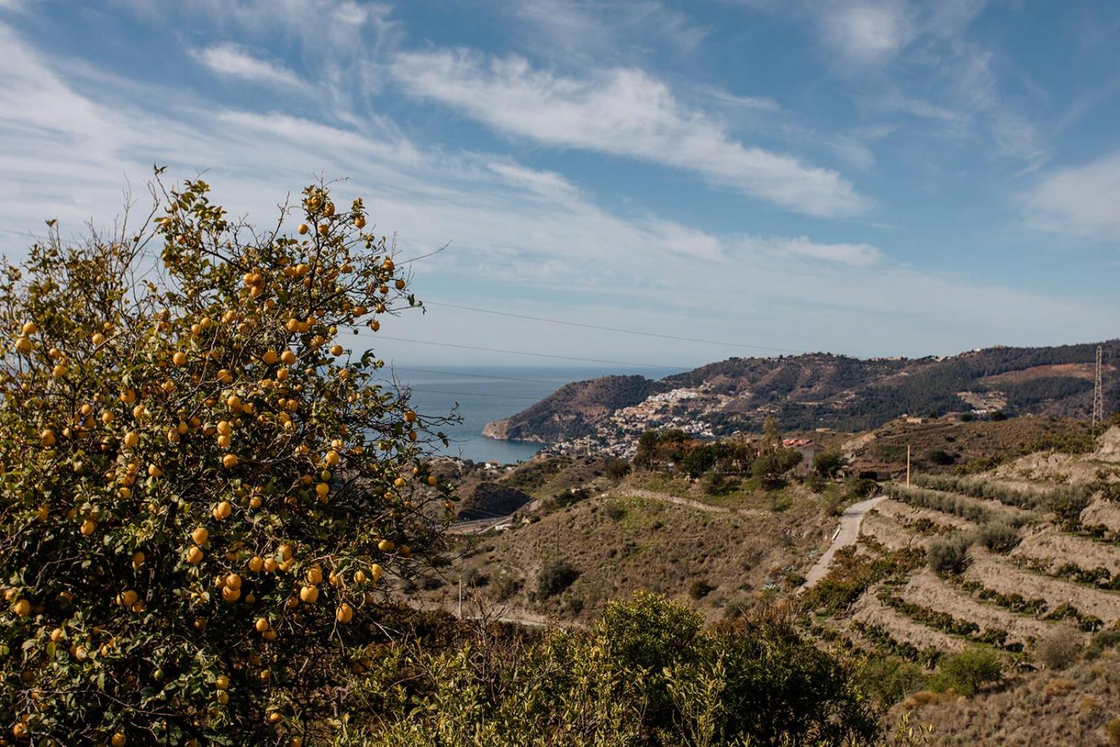 Finca La Herradura