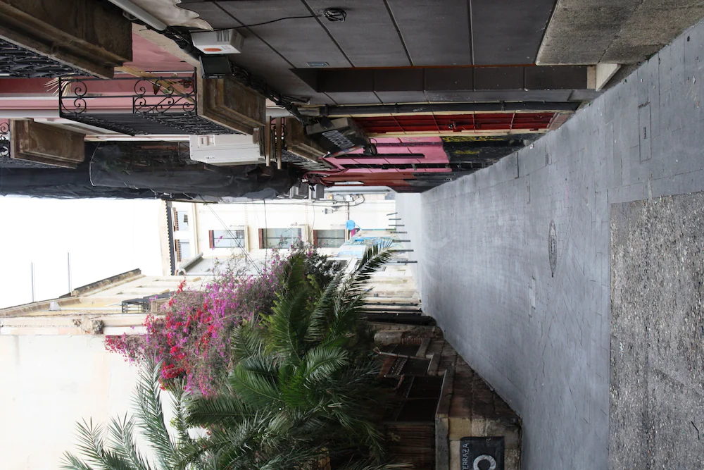 Loft El Carmen