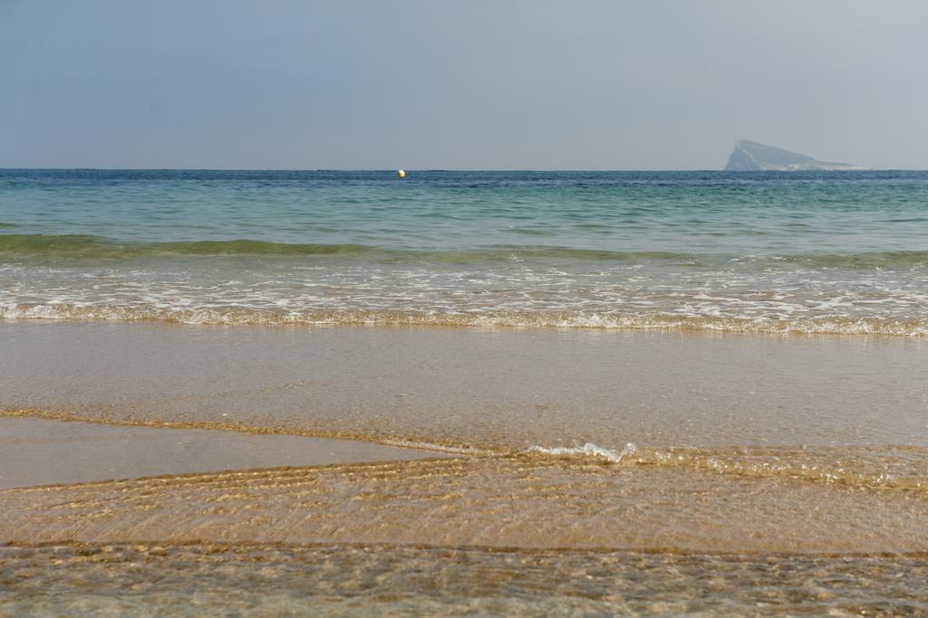 El Palmeral