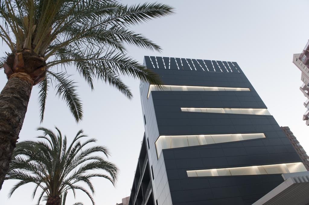 El Palmeral