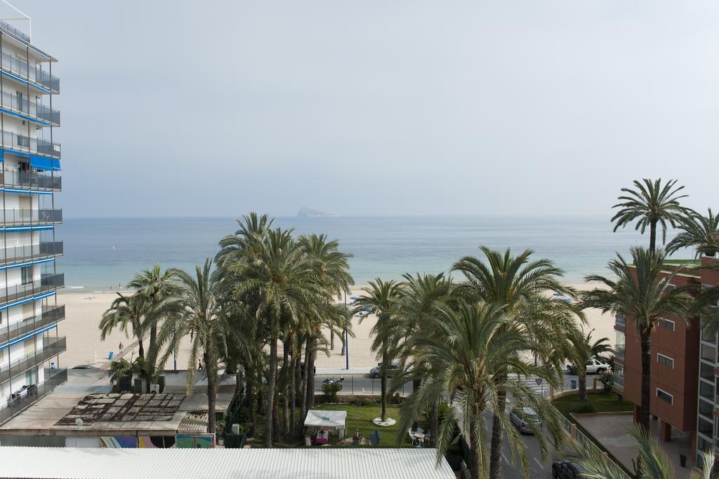 El Palmeral