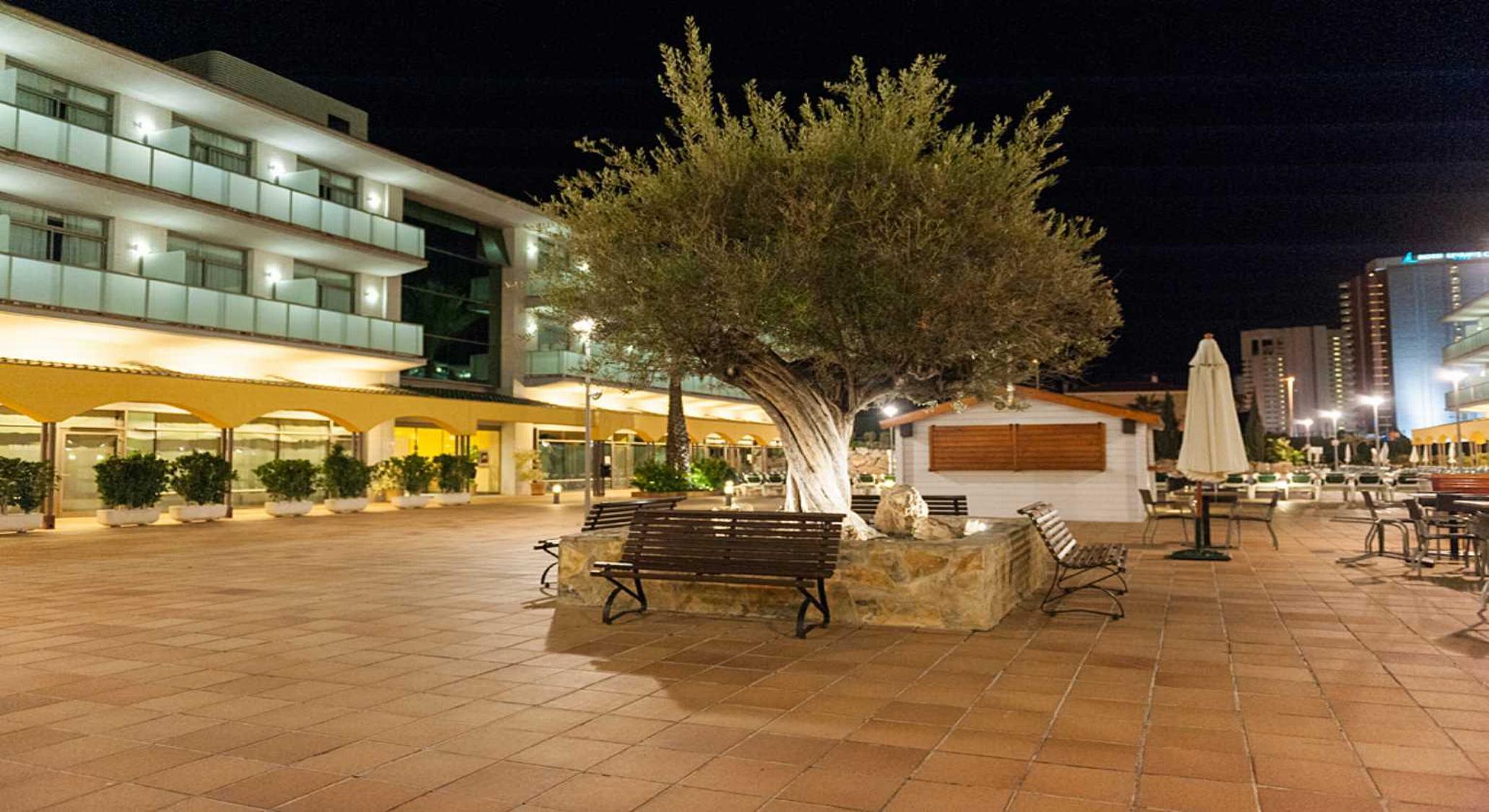 Hotel Mediterraneo Benidorm
