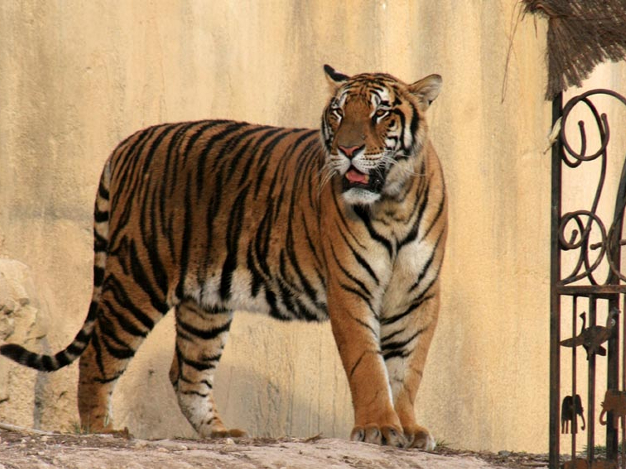 Magic Natura - Animal, Waterpark & Polynesian Lodge Resort