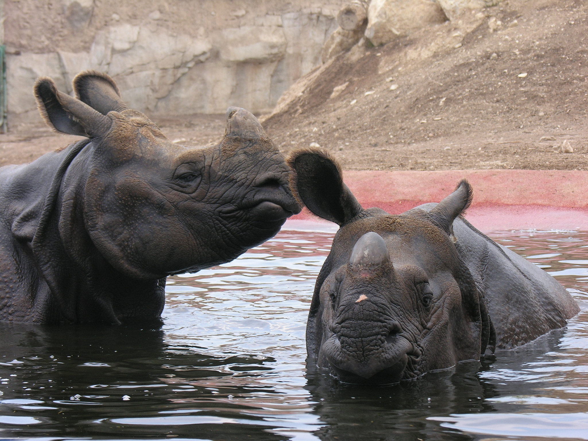 Magic Natura - Animal, Waterpark & Polynesian Lodge Resort