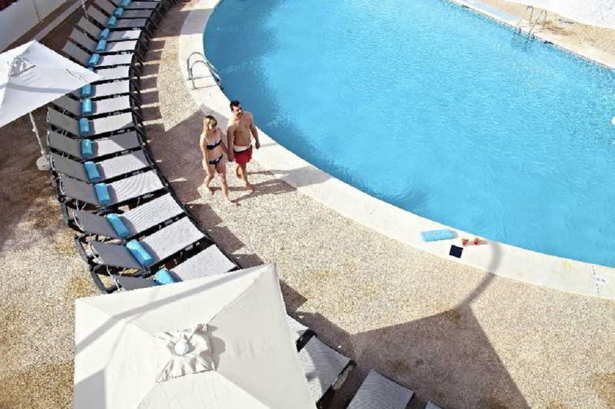 Flamingo Beach Resort