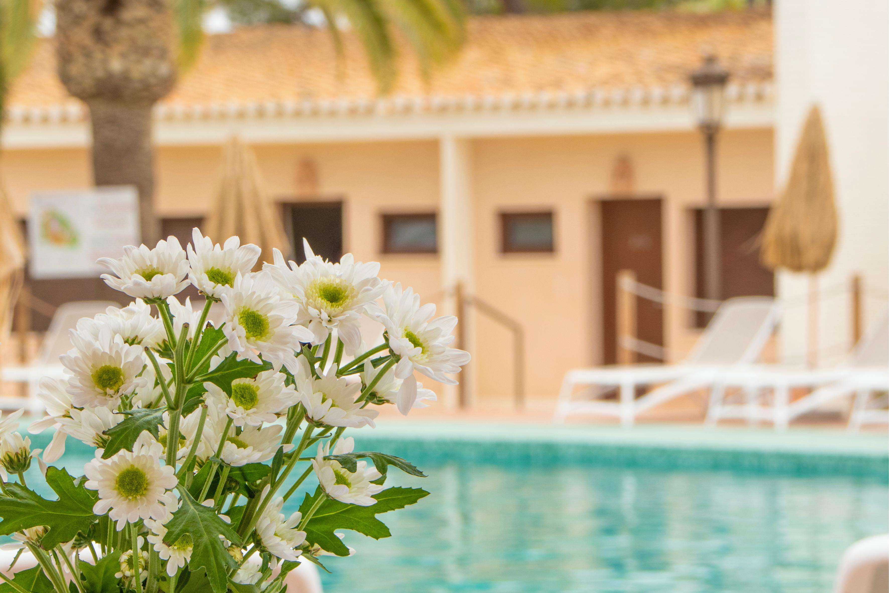 Hotel Montepiedra