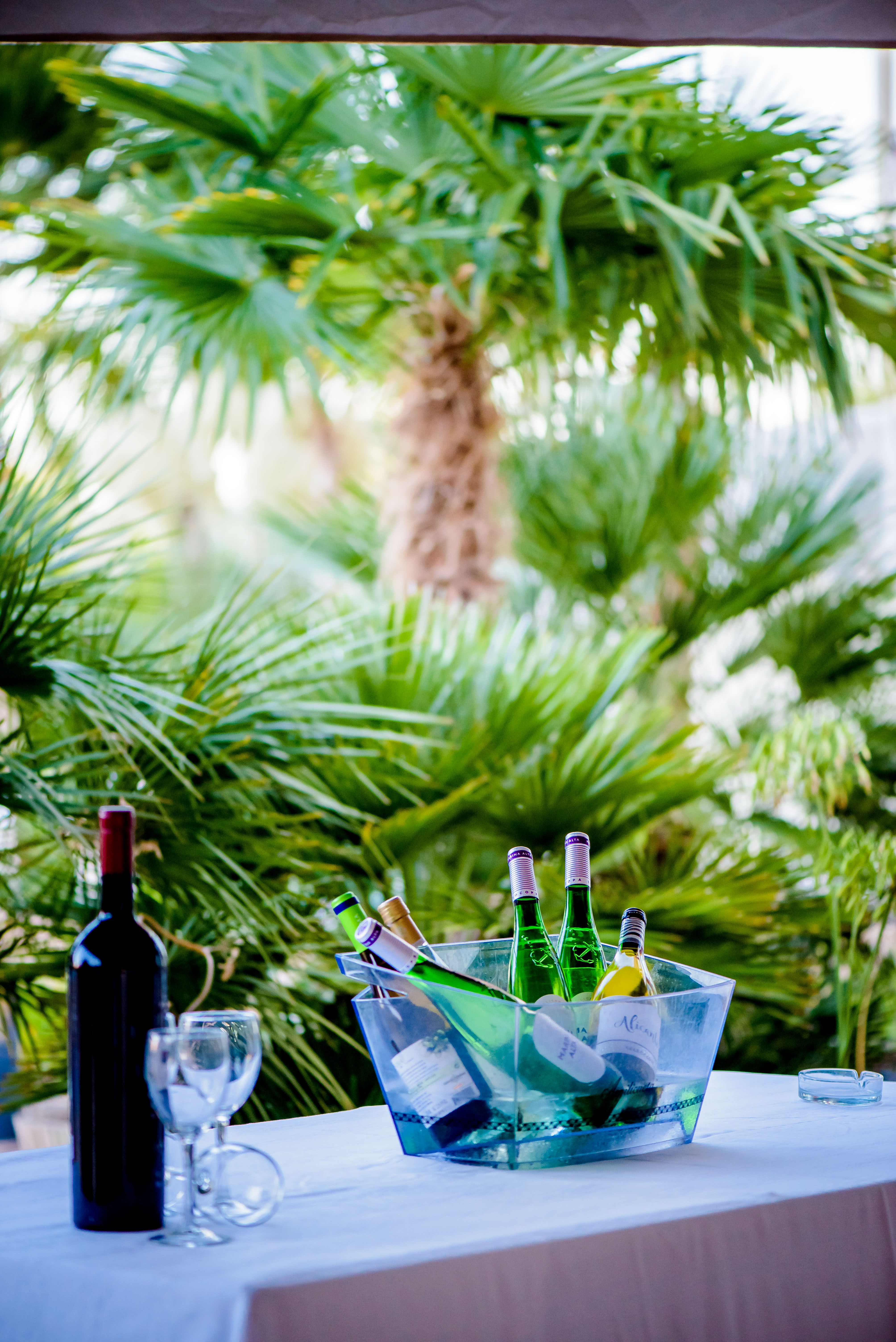 Hotel Bonalba Alicante