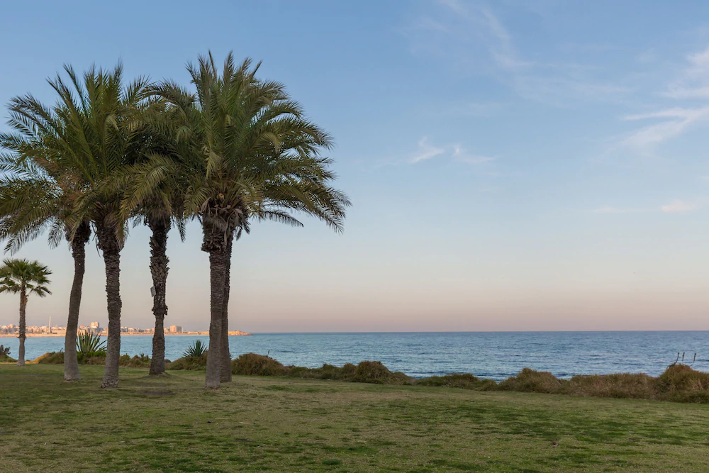 Fidalsa Spectacular Beachfront