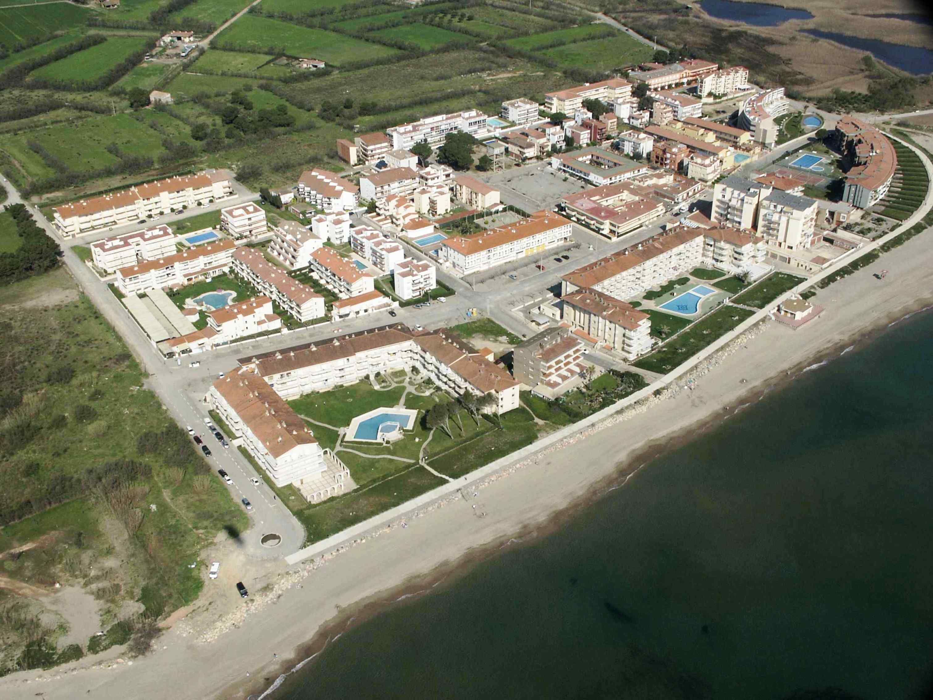 Argonavis