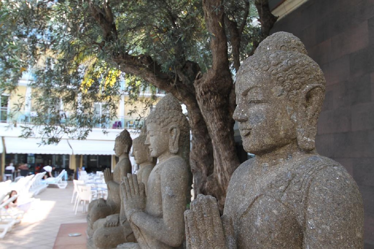 Hotel La Palmera & Spa