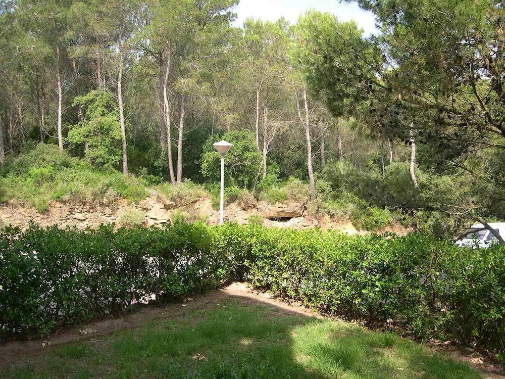 Apartaments Sa Guilla