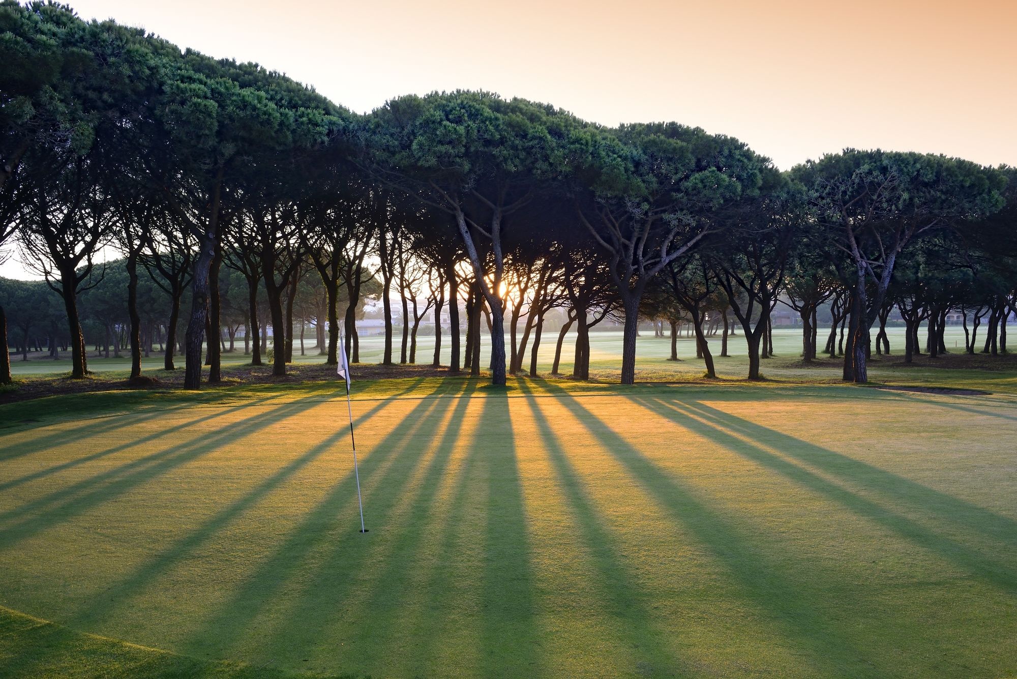 La Costa Beach & Golf Resort