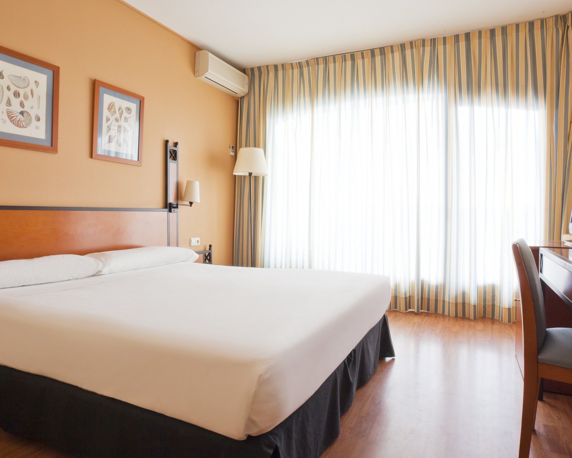 Hotel ILUNION Caleta Park