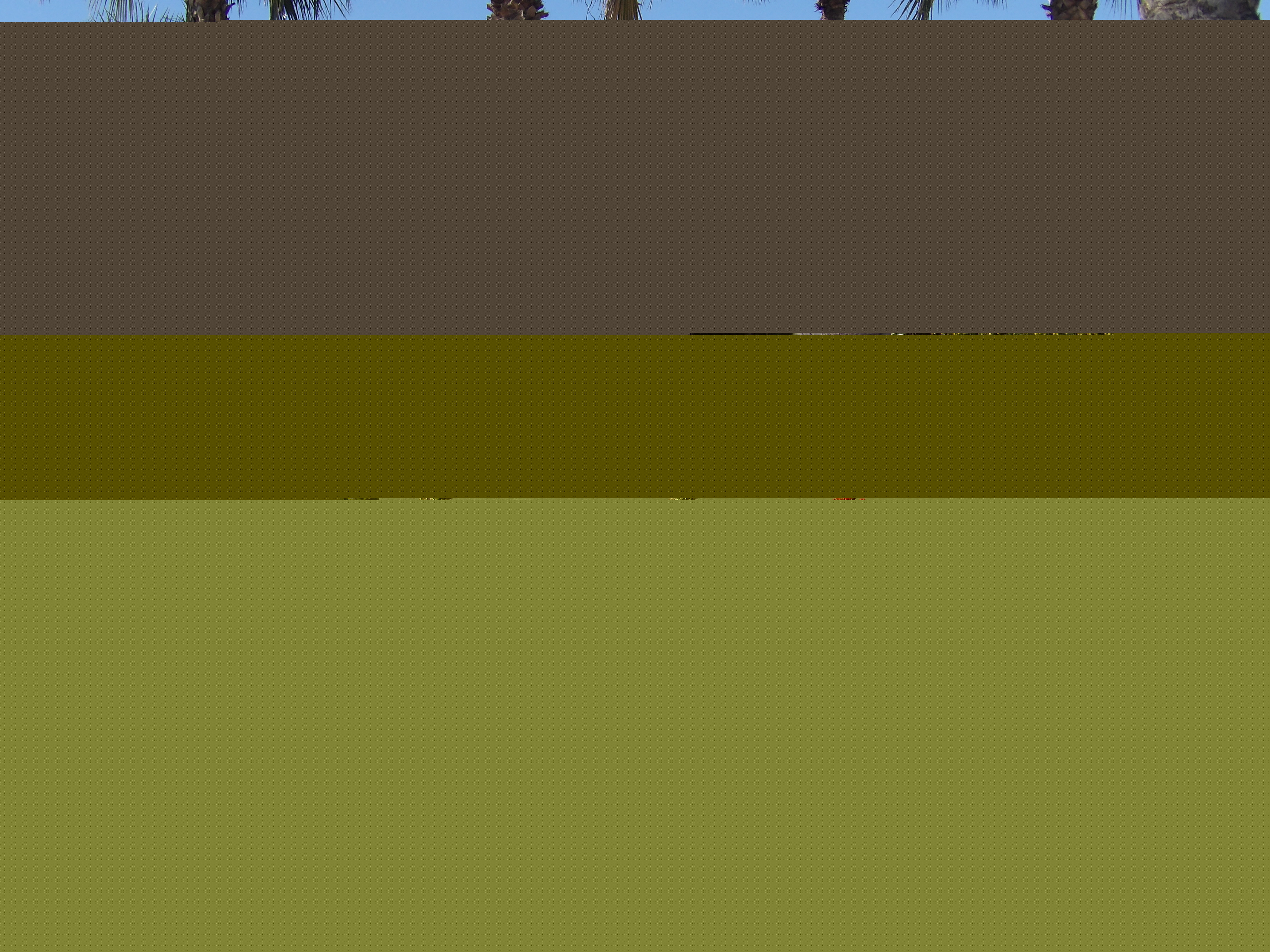 Roda Golf & Beach Resort