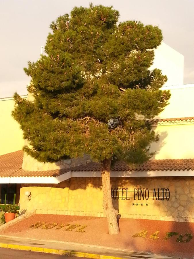 Hotel Pino Alto by ALEGRIA
