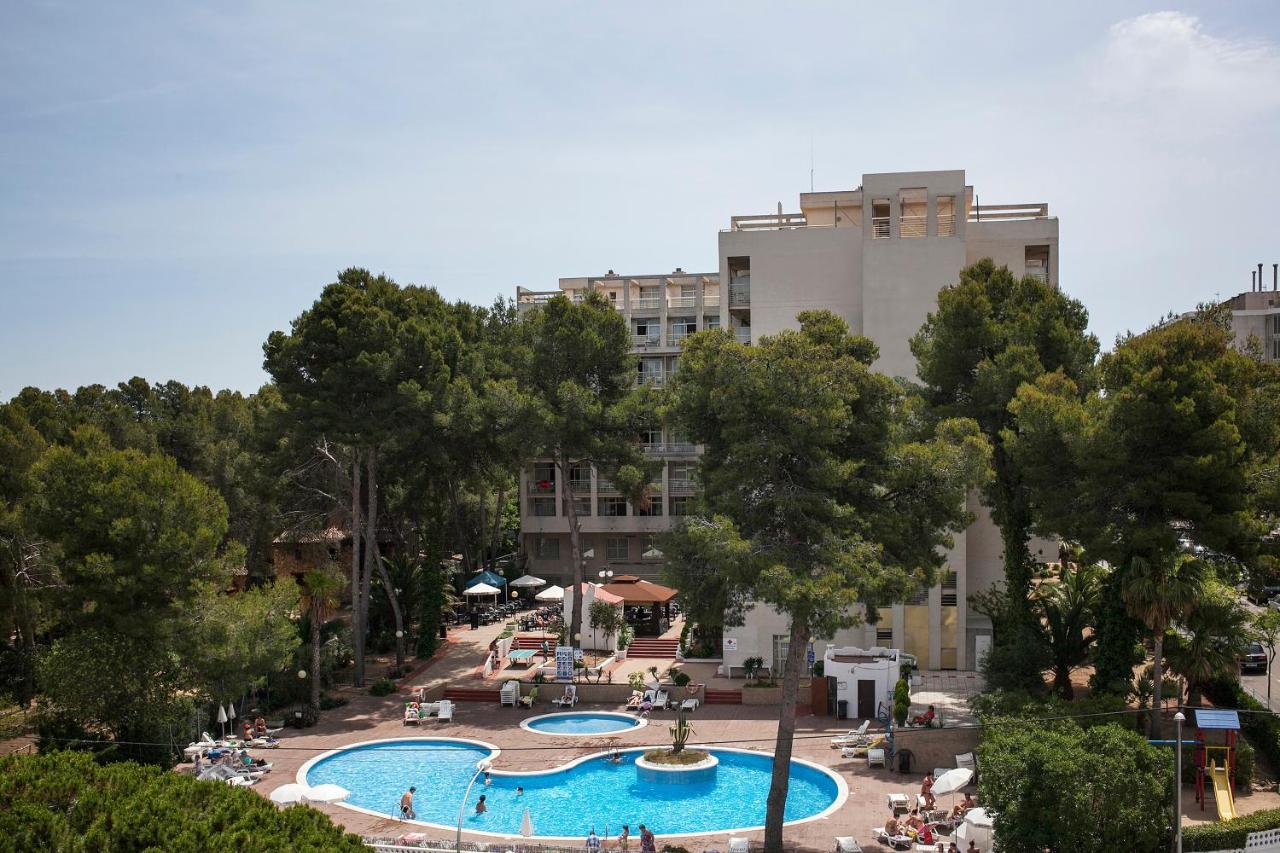 Best Mediterráneo