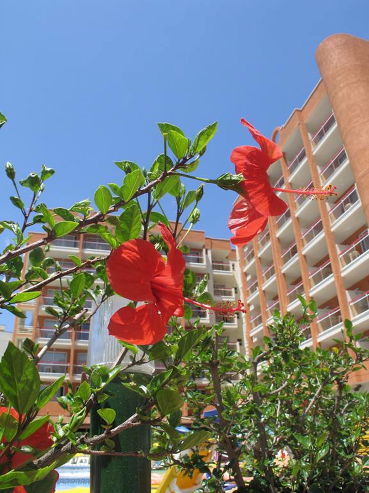 Ohtels Belvedere
