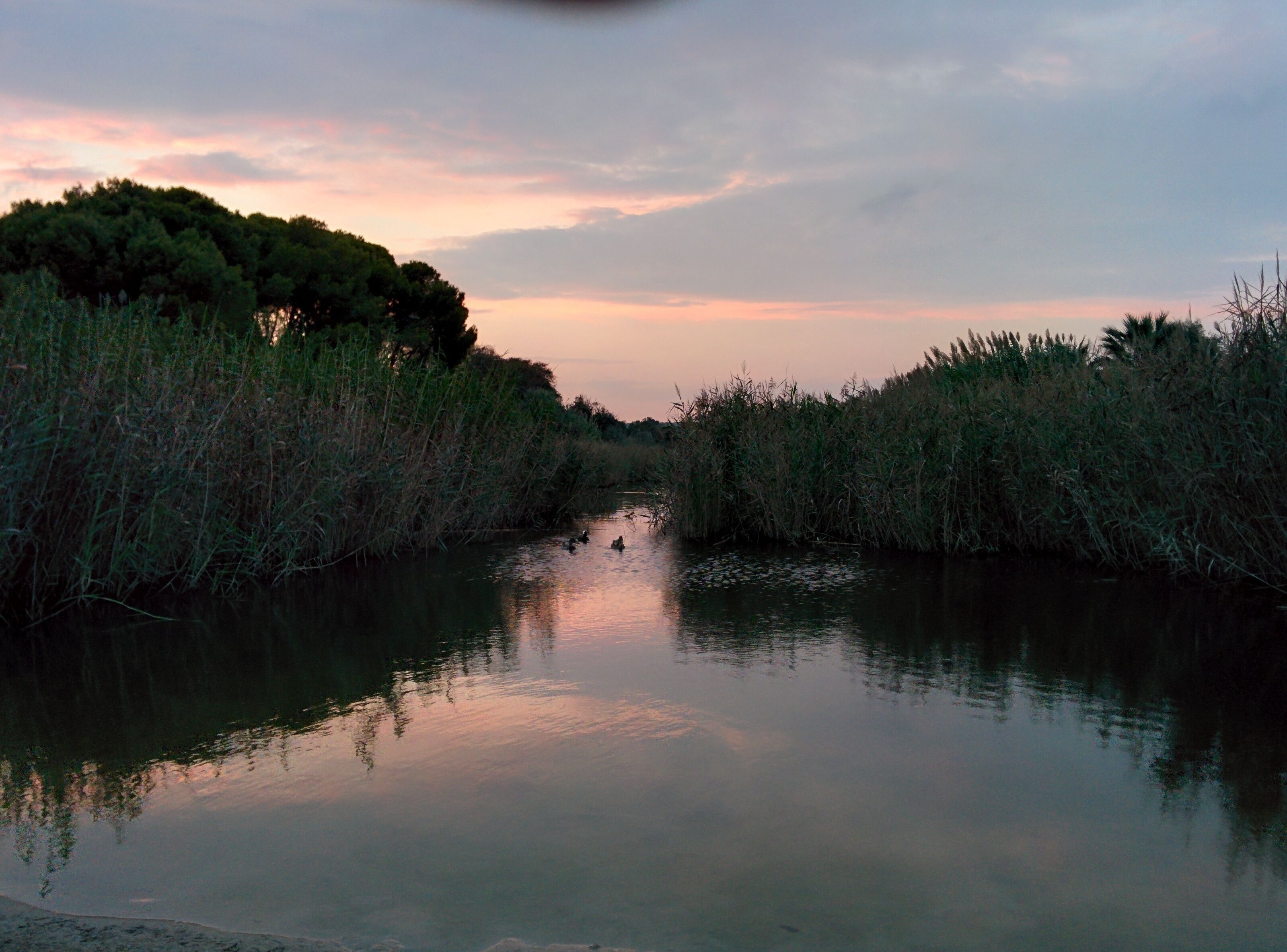 Mediterrani Natura Spa Resort