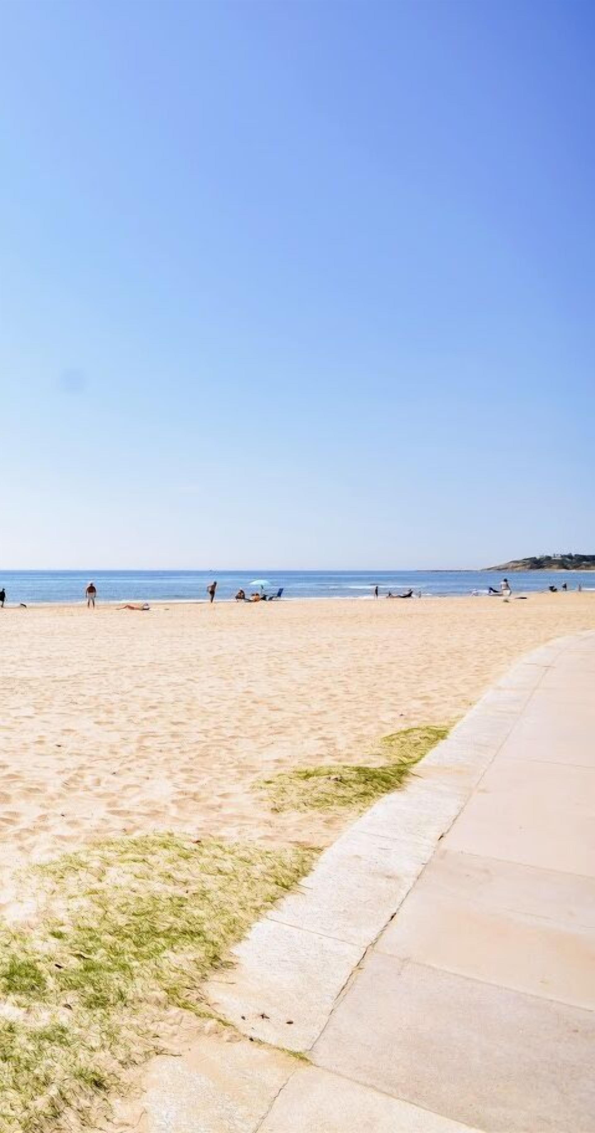 Pineda