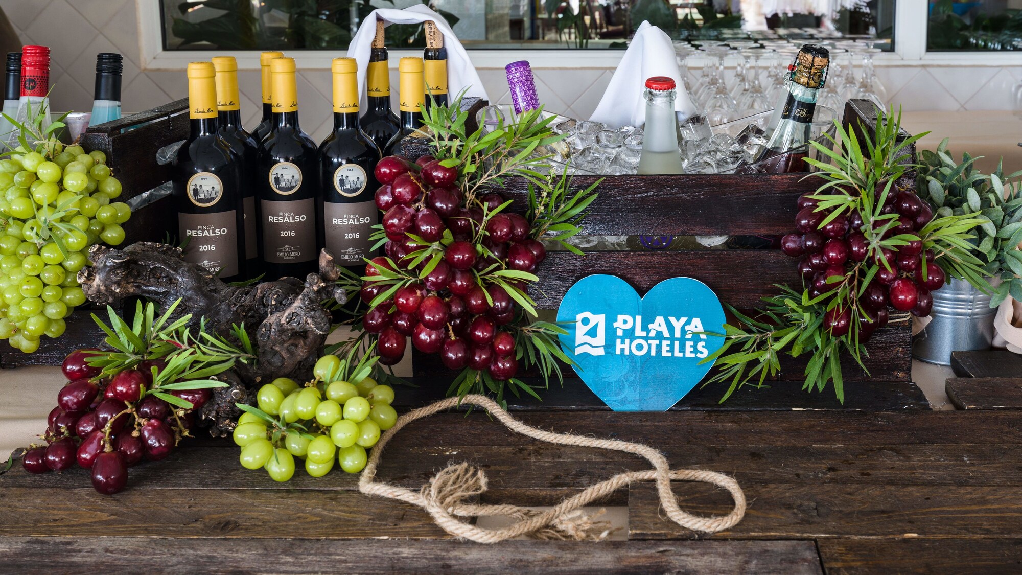 Playadulce Lifestyle Collection by Senator