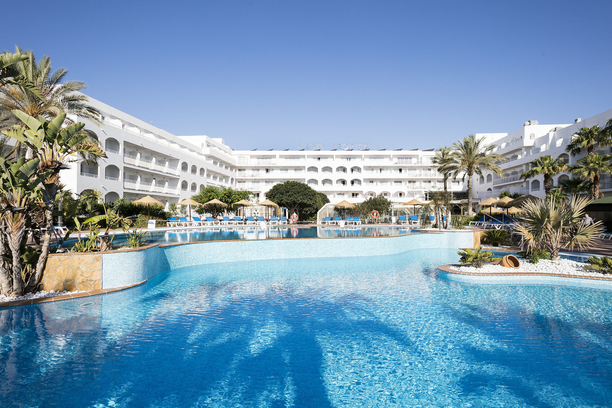 Best Oasis Tropical