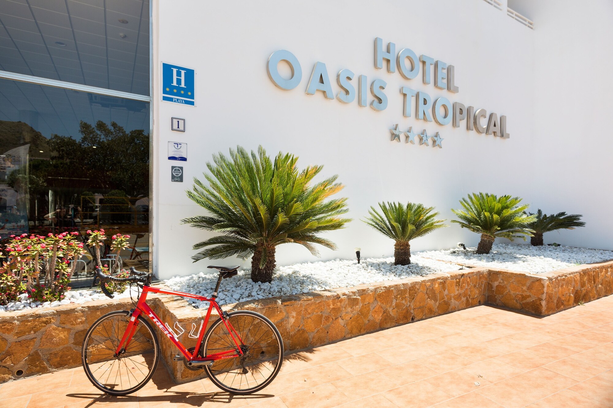 Best Oasis Tropical