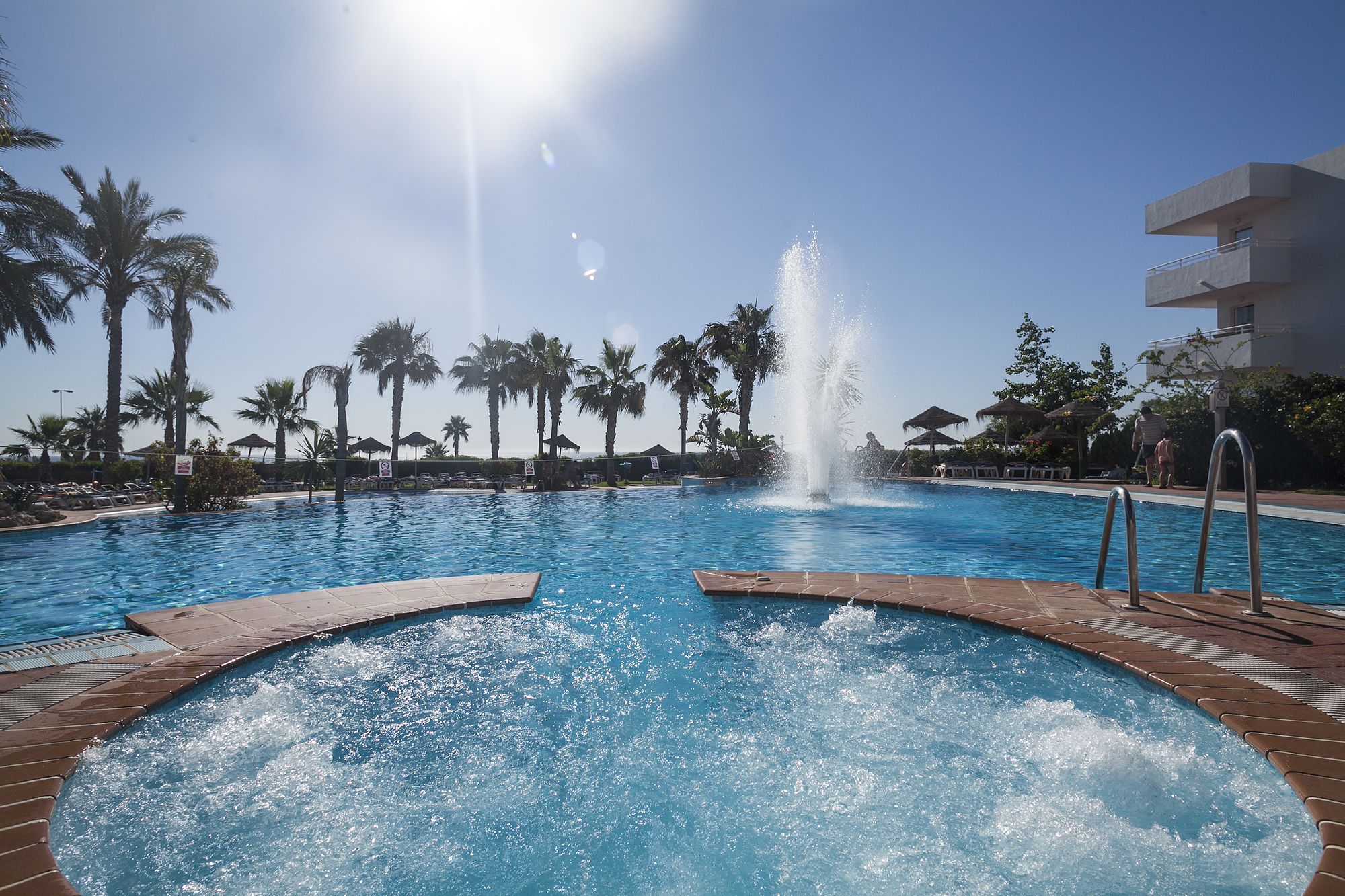 Best Oasis Tropical