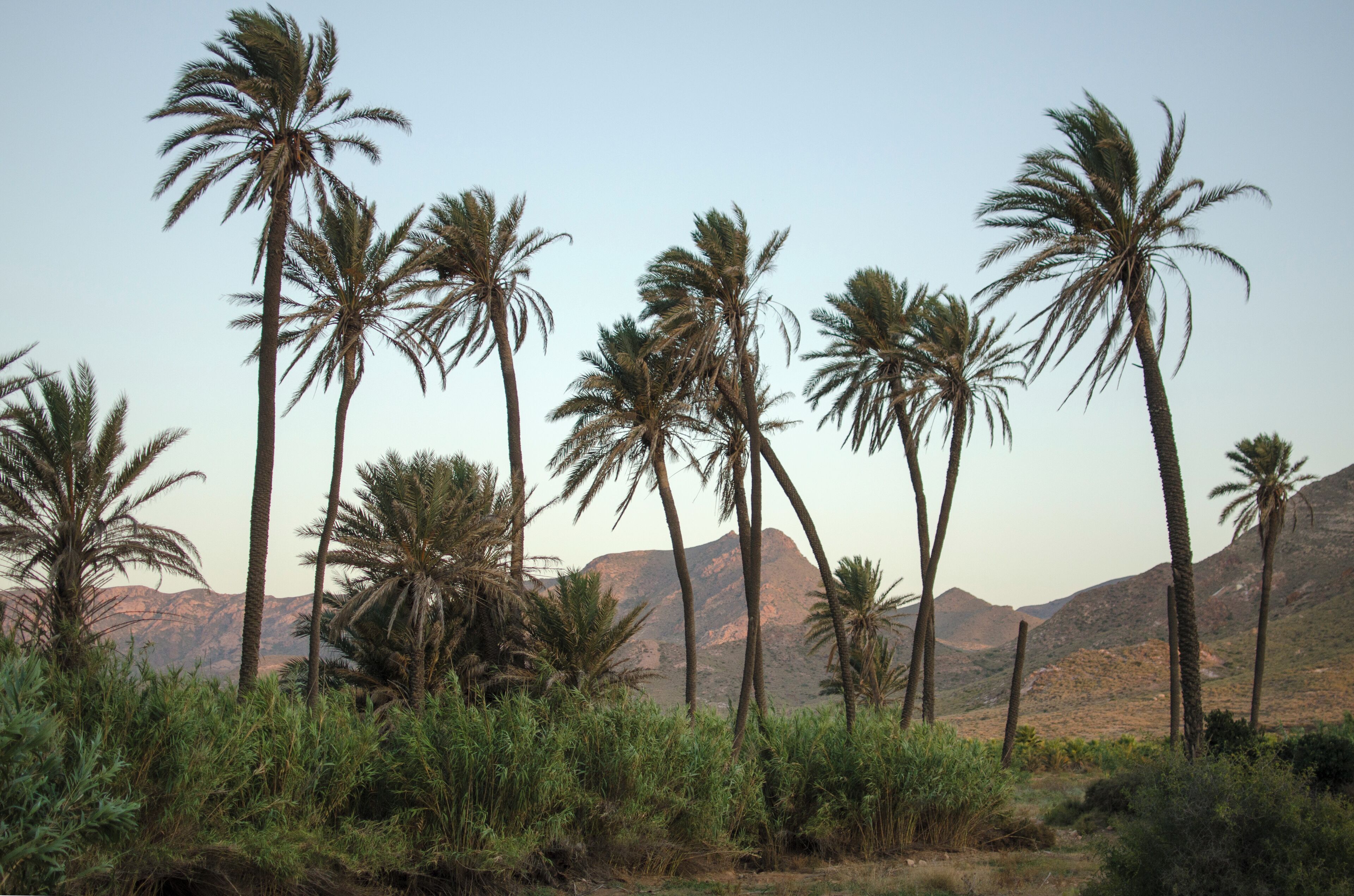 Cortijo Boutique Siete Calas