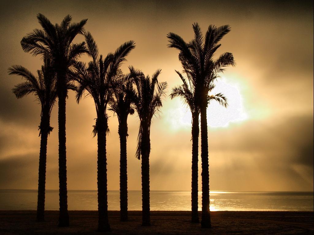 Apartamentos Estrella de Mar