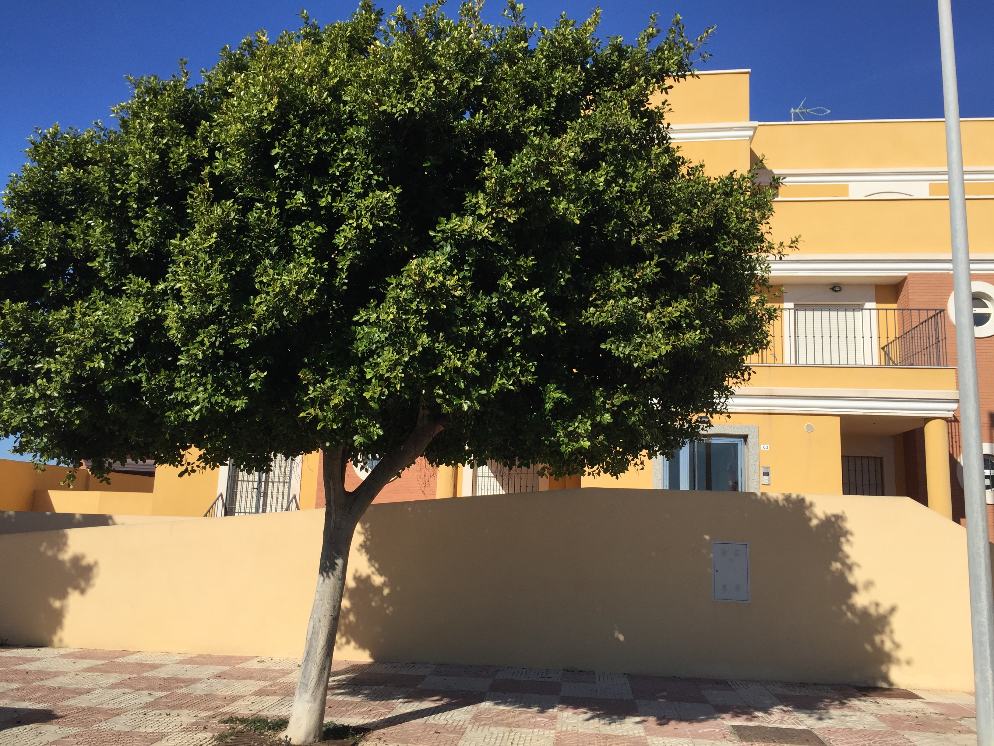 Apartamentos Playamar