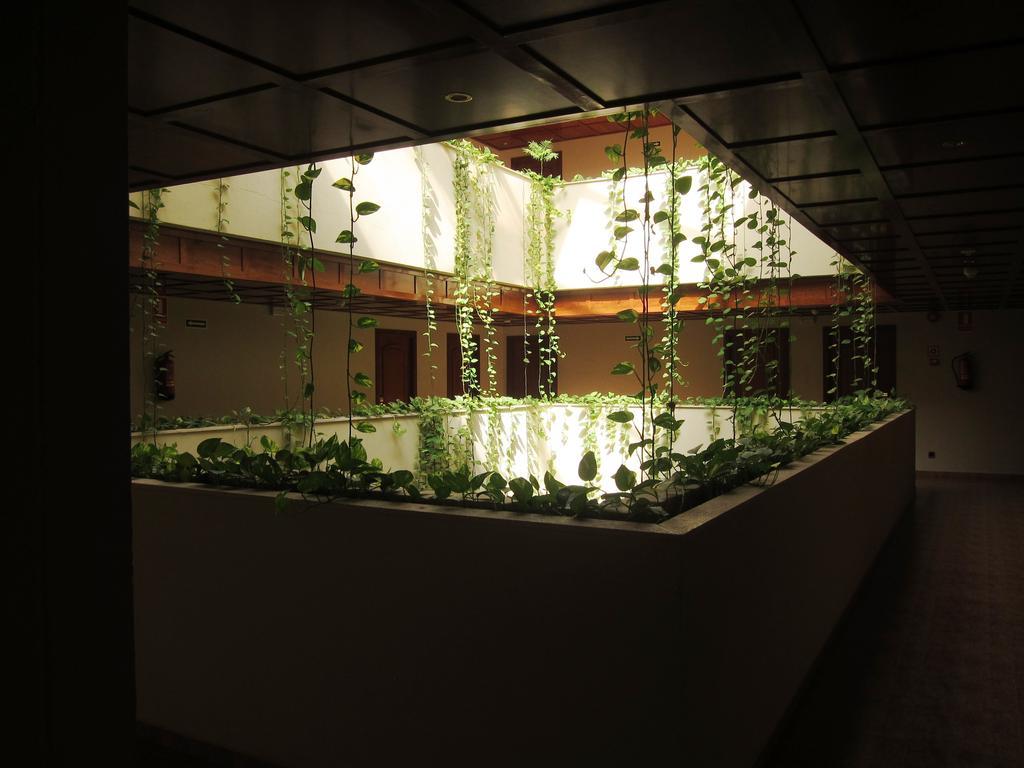 Hotel Don Angel