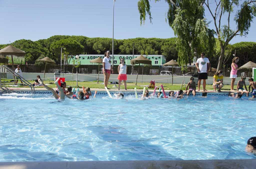 Camping La Rana Verde