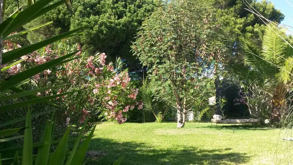 Kasbah Andaluz Guest House