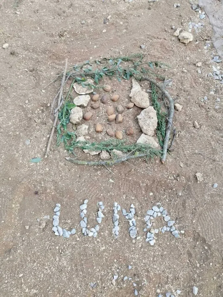 The Farm Tiny House Tiny Casa