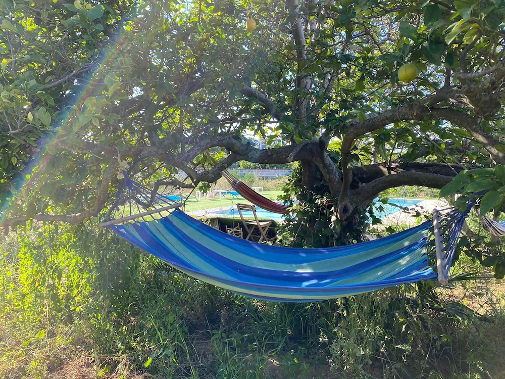 The Farm Tiny House Tiny Casa