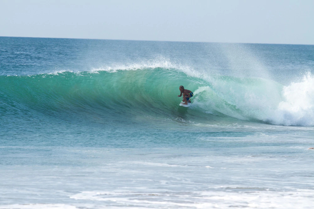 The Farm Tiny House Tiny Casa