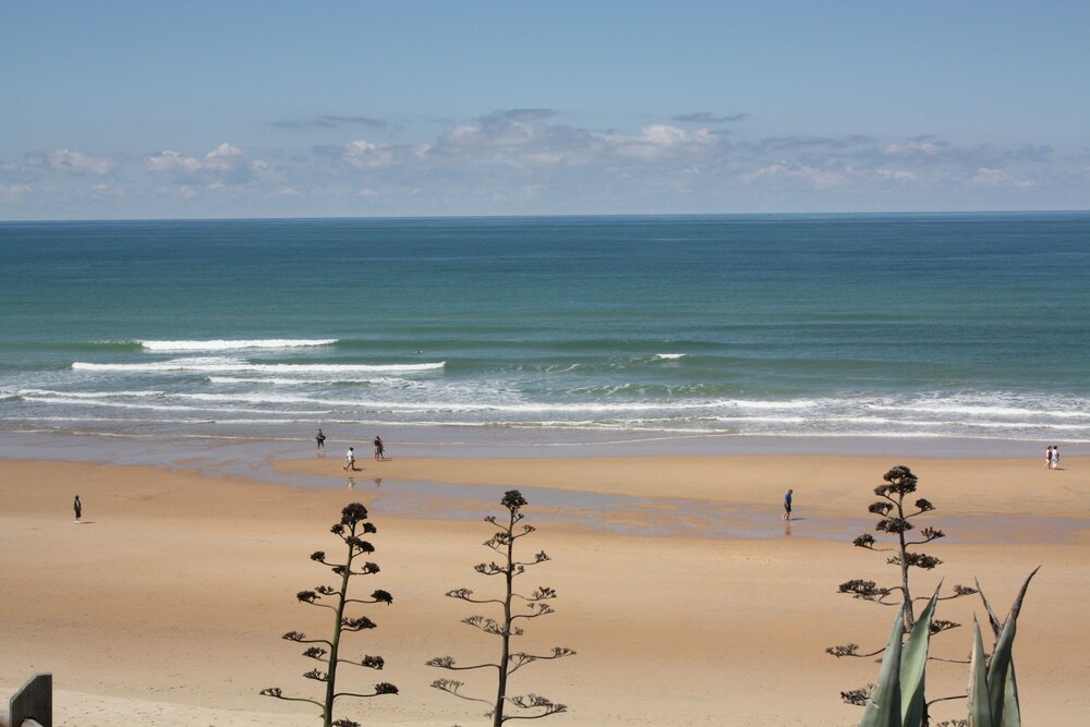 Violetas De Mar
