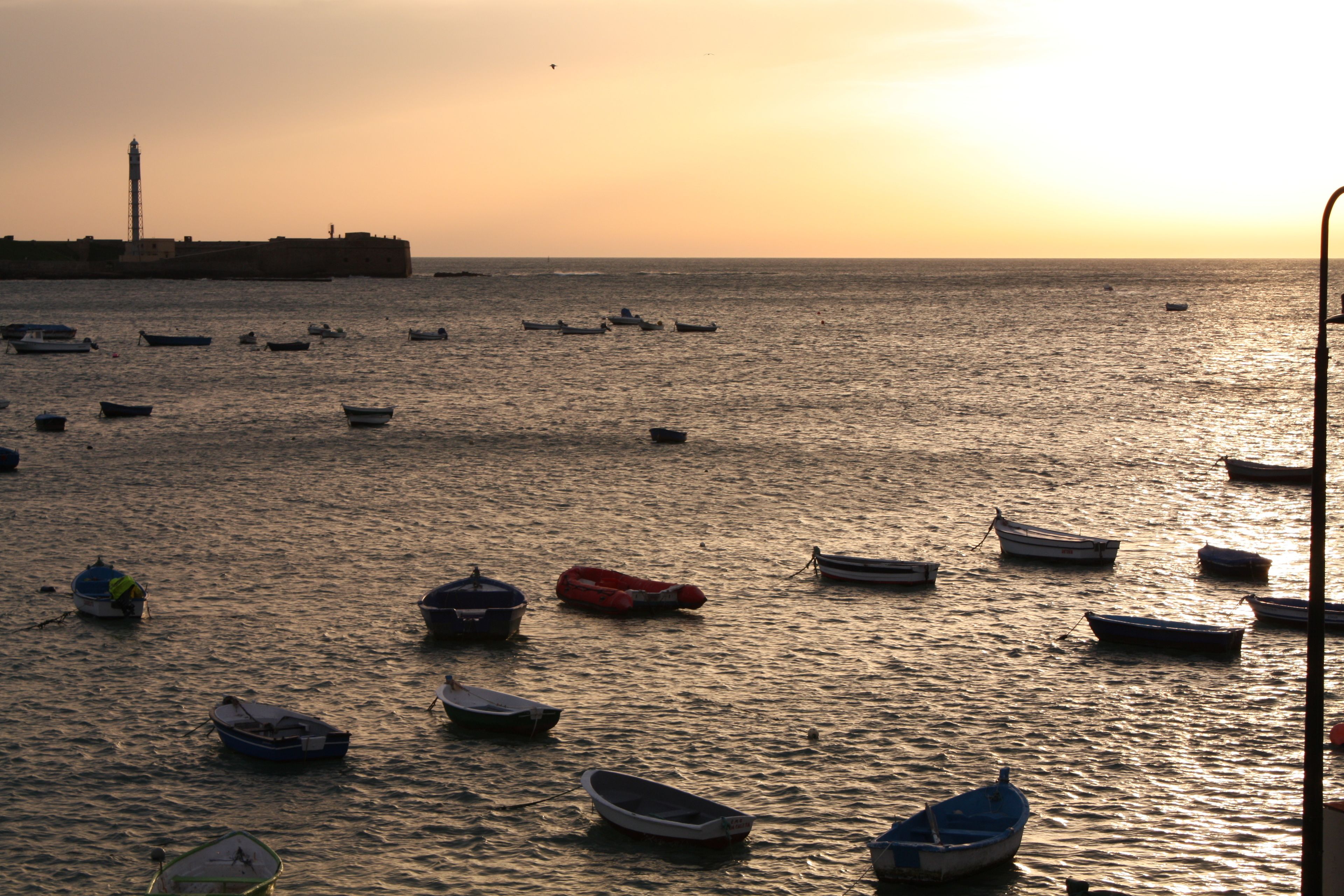 Violetas De Mar