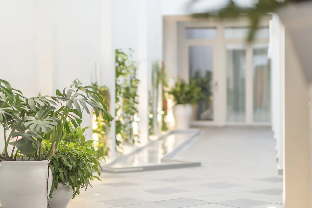 Alzocaire Hostal Boutique