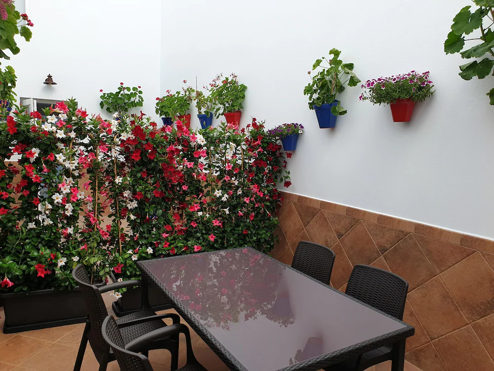 Apartamentos Aponiente